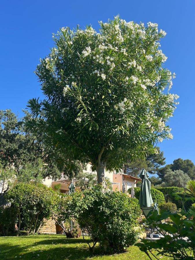 Le Clos Serein Le Beausset Exterior foto