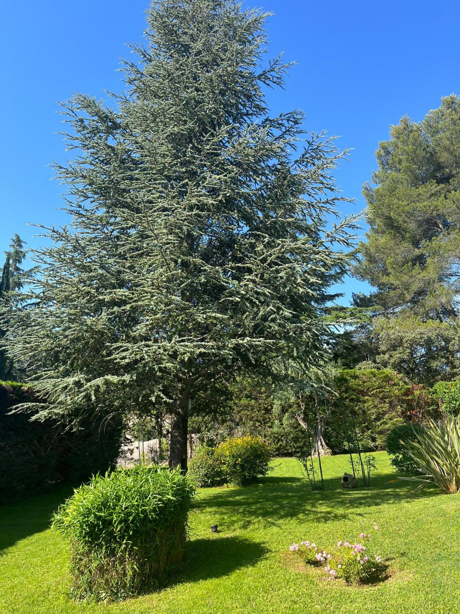 Le Clos Serein Le Beausset Exterior foto